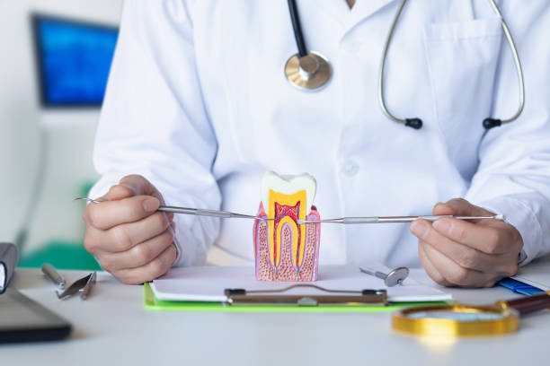 Best Tooth Pain Emergency Relief  in Drexel, OH